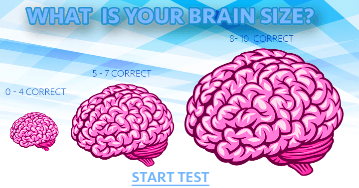 Banner for How big is your brain?
