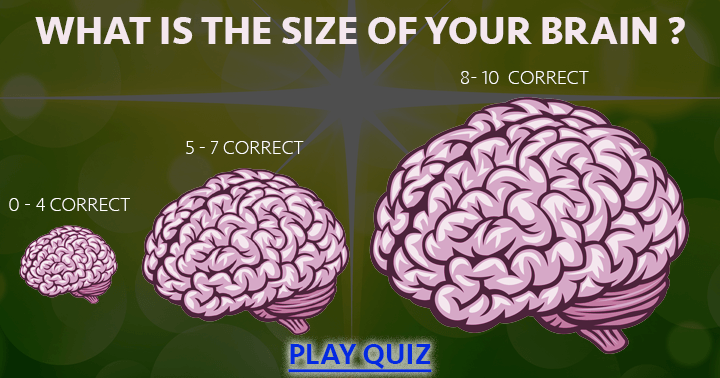 Banner for How big is your brain?
