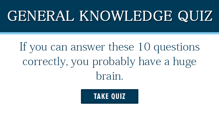 Banner for How big is your brain?