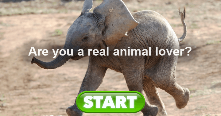 Banner for Are you a real animal lover?  show us how much you know about the.