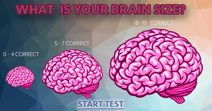 Banner for What is your brain size?