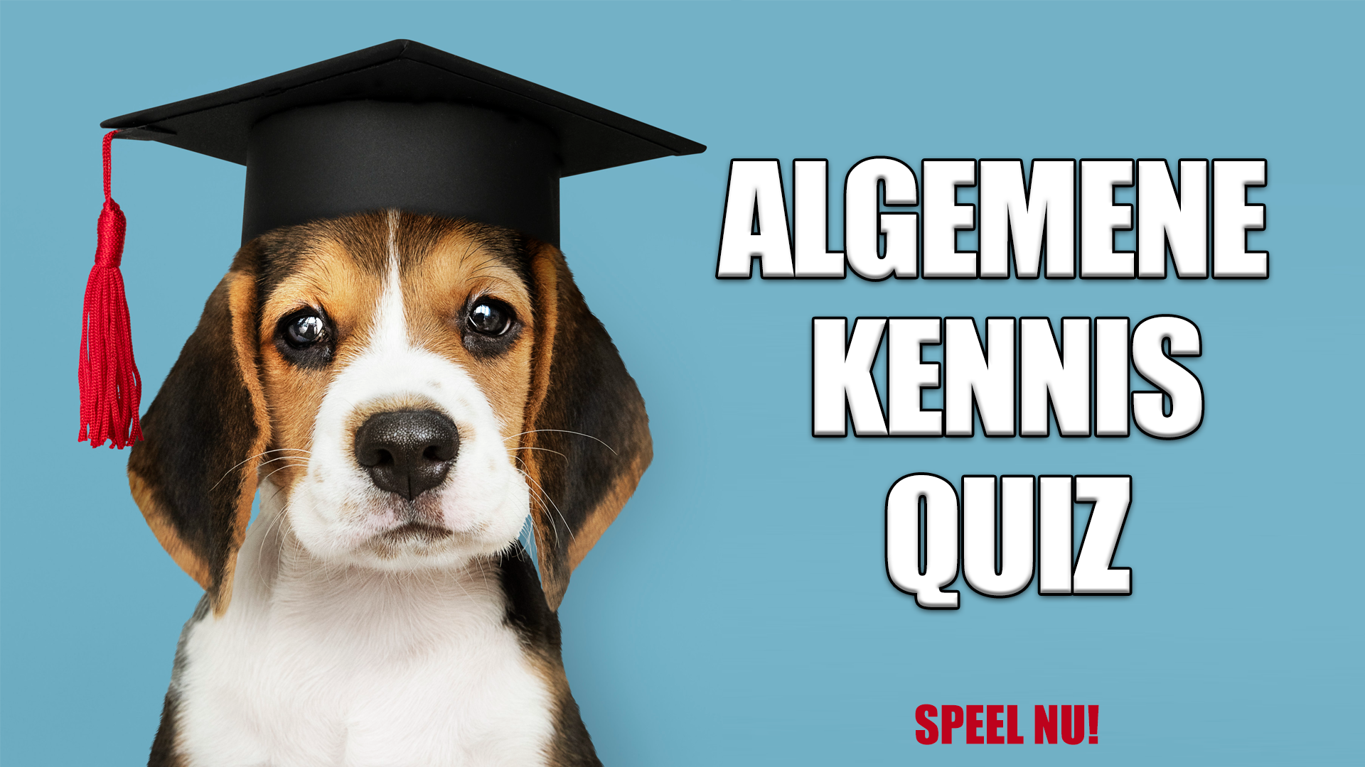 Banner for  Algemene kennis quiz