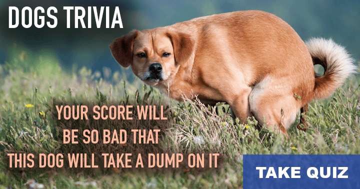 Banner for 10 fun questions about men's best friend: Dogs, level: Ultra Hard