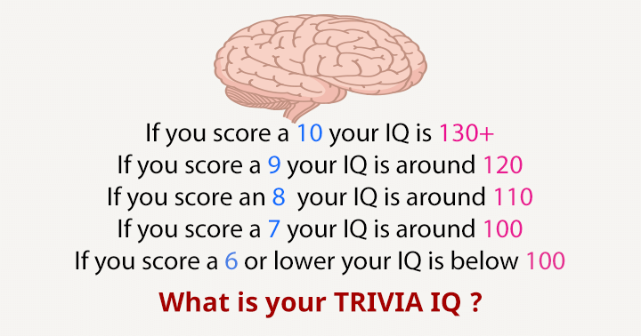 Banner for What is your trivia IQ?