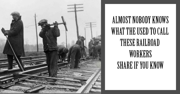 Banner for 'Quiz on History'