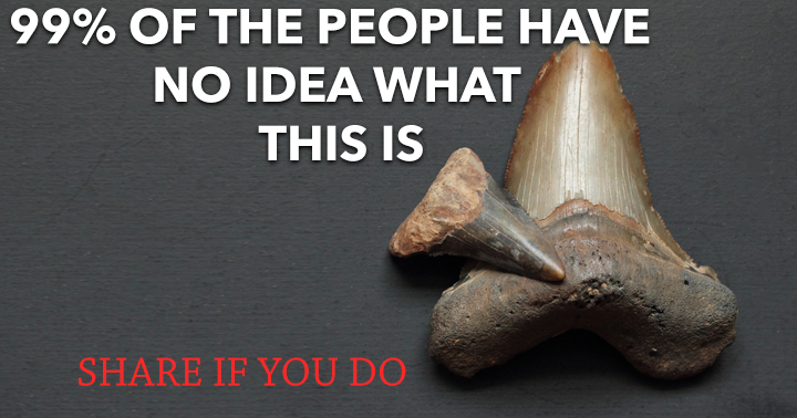 Banner for Quiz on history.