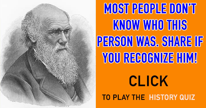 Banner for The Quiz on History.