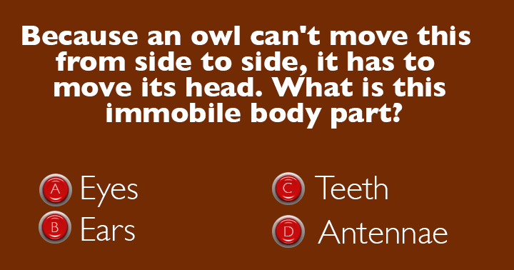 Banner for What is the extent of your understanding of science? A majority of individuals struggle to achieve a score of 5 out of 10.