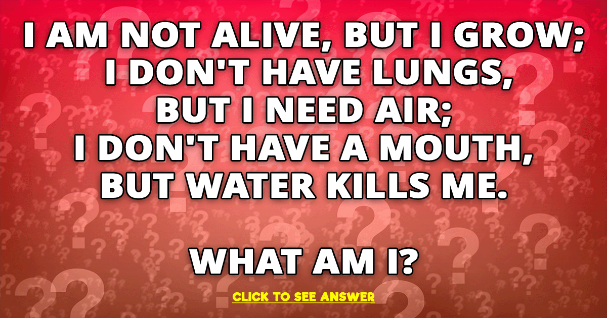 Banner for Are you able to solve the enigmatic puzzle at hand?