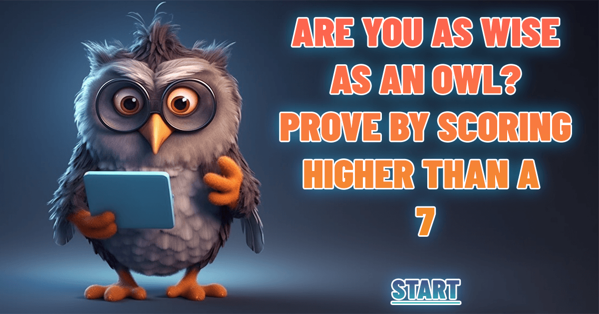 Banner for Can you match the wisdom of an owl?