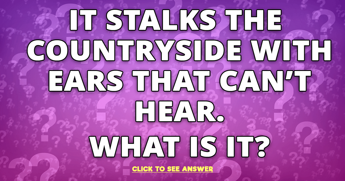 Banner for Try to solve this riddle and participate in our quiz.