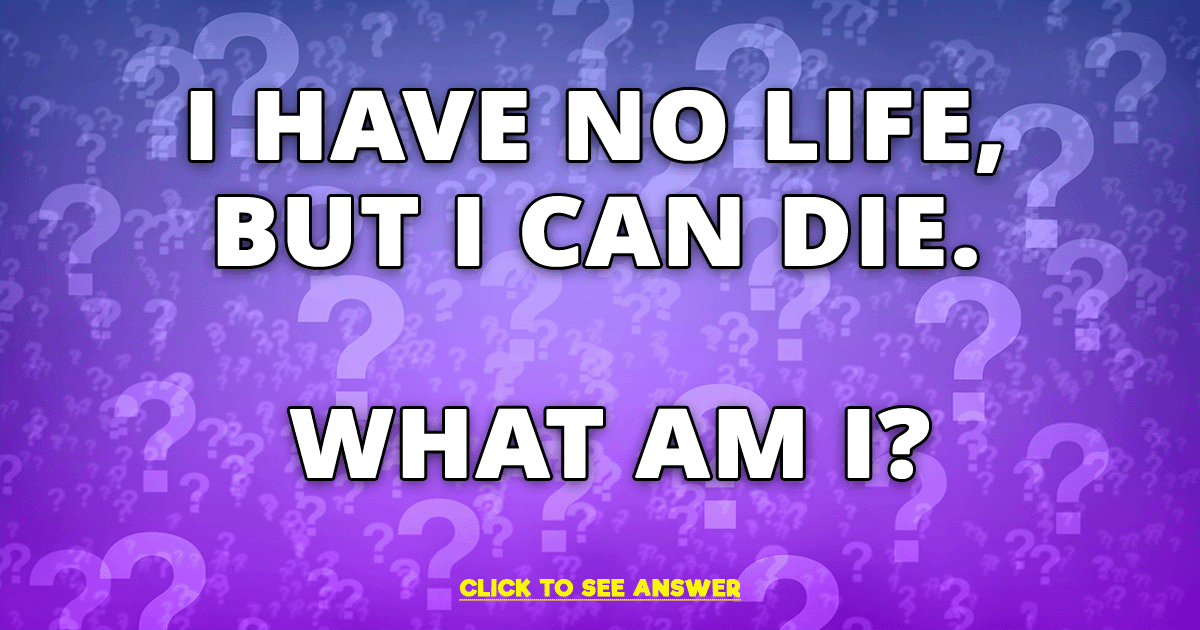 Banner for Try to solve this riddle and participate in our quiz.