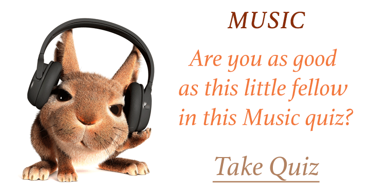 Banner for The rabbit got a 6! Can you beat that?