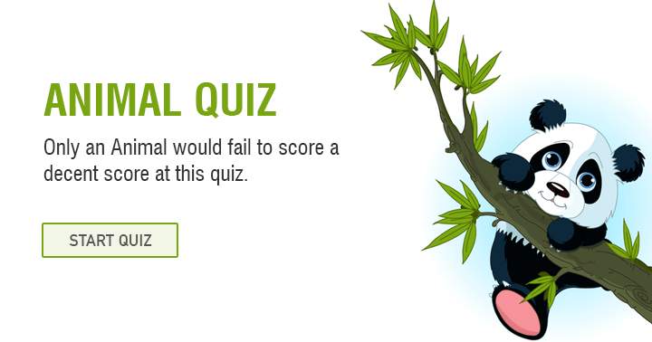 Banner for Only a donkey would fail to score a decent score at this animal trivia quiz.