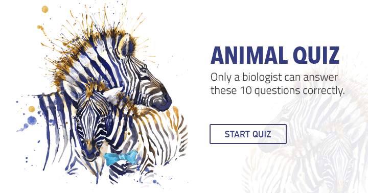 Banner for Can you answer these 10 hard quetions about The Animal Kingdom?