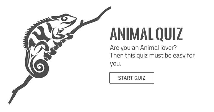 Banner for Are you a real animal lover? Then take this fun  but hard quiz.