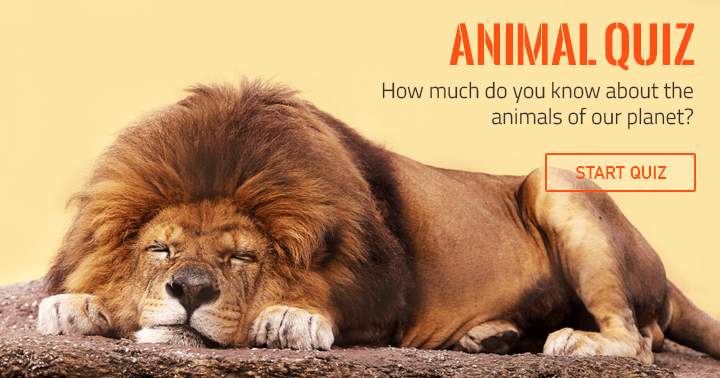 Banner for How much do you know about animals?