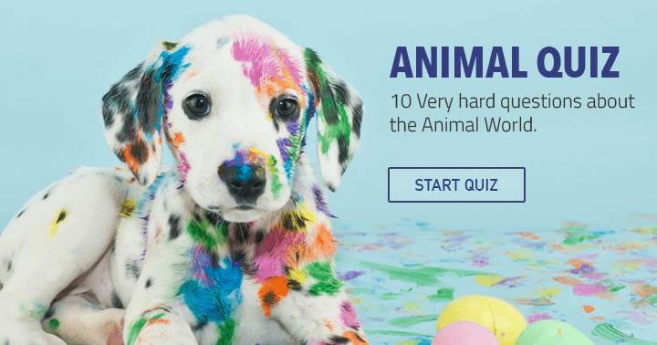 Banner for Answer these 10 questions about animals.