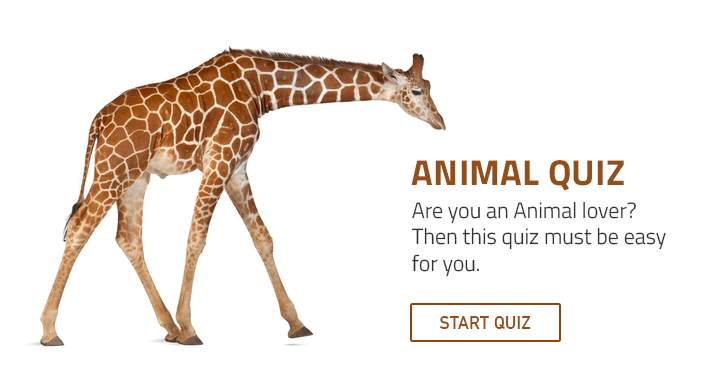 Banner for Animal lovers will enjoy this quiz.