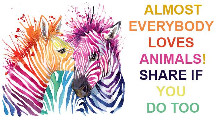 Banner for Do you love Animals too?