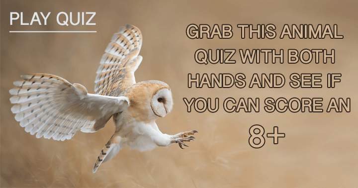 Banner for Grab this quiz with both hands and show everybody how good you are! 