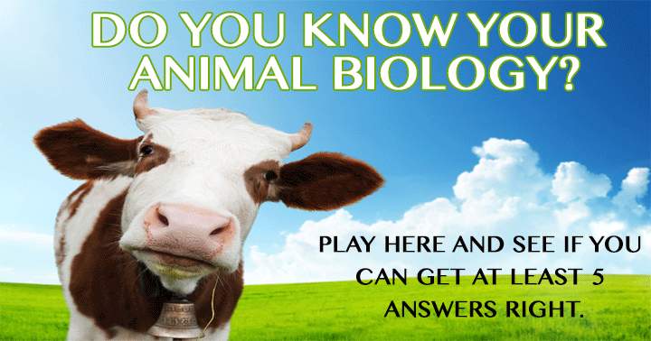 Banner for Do you know your animal biology?