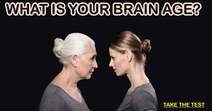 Banner for The person becomes smarter as their brain ages.