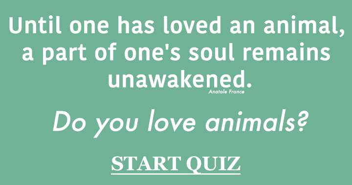 Banner for Animal Quiz