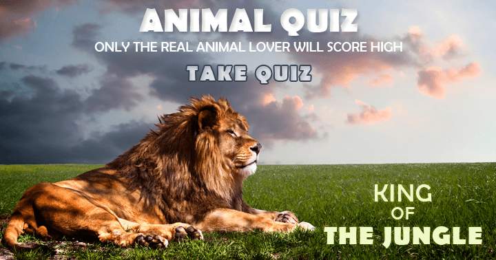 Banner for Only true animal enthusiasts will achieve a high score on the Animal Quiz.