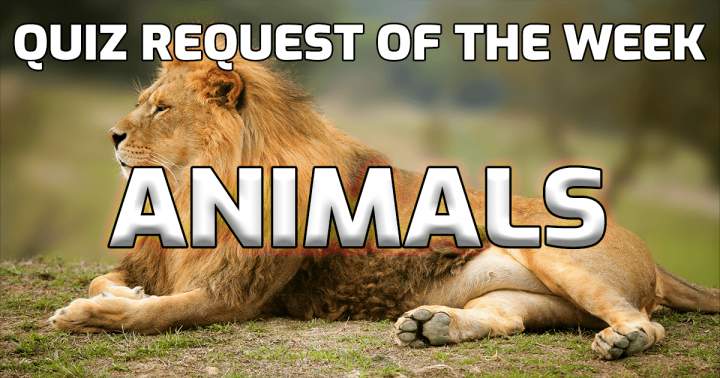 Banner for Quiz Request Of The Week: Animals