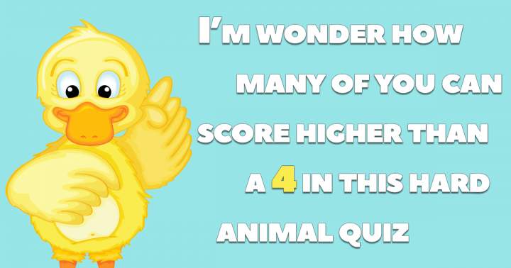 Banner for Hard Animal Quiz