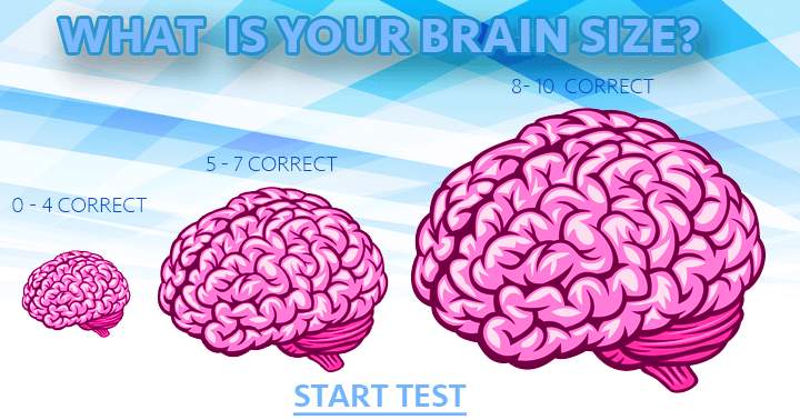 Banner for How big is your brain?