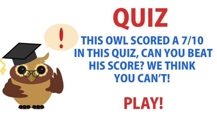 Banner for Are you smarter than an owl?