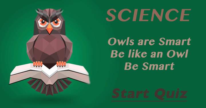 Banner for Be like this Owl