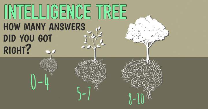 Banner for General Knowledge Quiz to see how big your intelligence tree is!