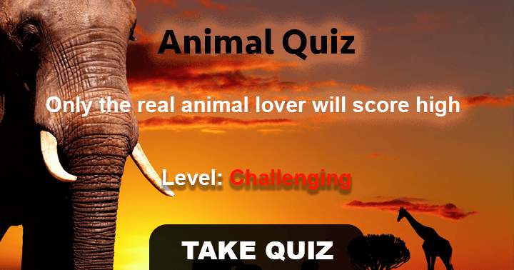 Banner for 10 very hard questions about animals only a zoologist can answer