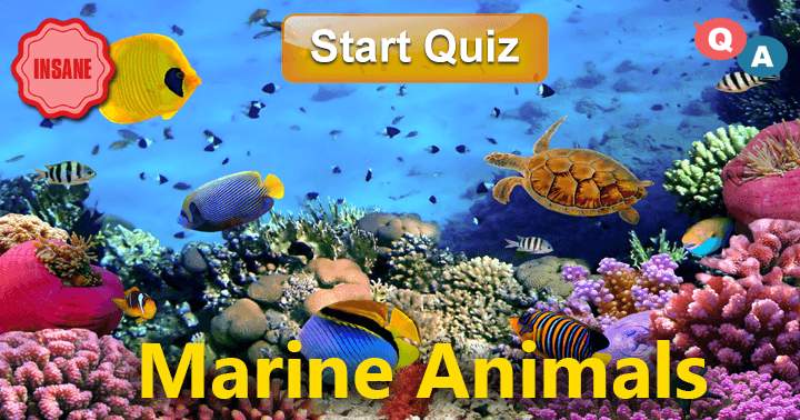 Banner for 10 Questions about Marine Animals! LEVEL- INSANE