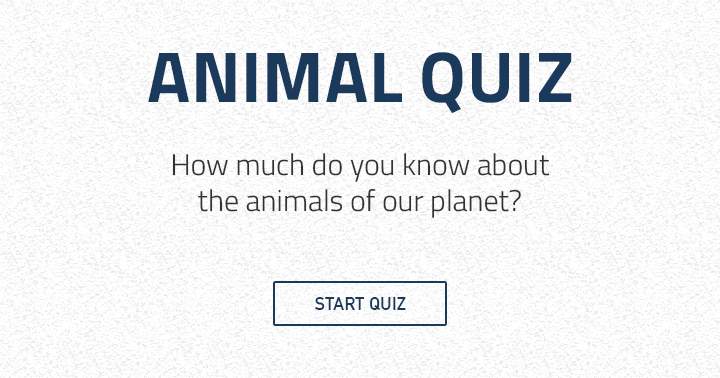 Banner for How much you you know about the animals of our beautiful planet?