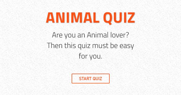 Banner for This quiz is for animal lovers only!